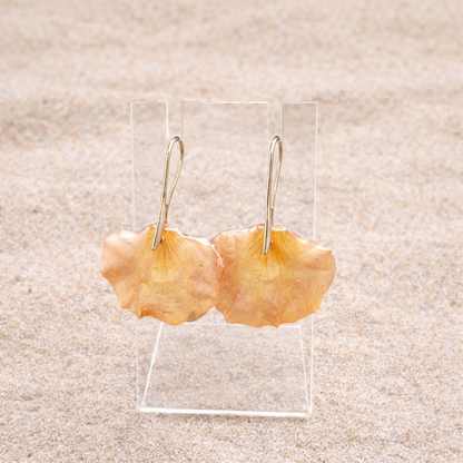 Flamboyanes - Aretes