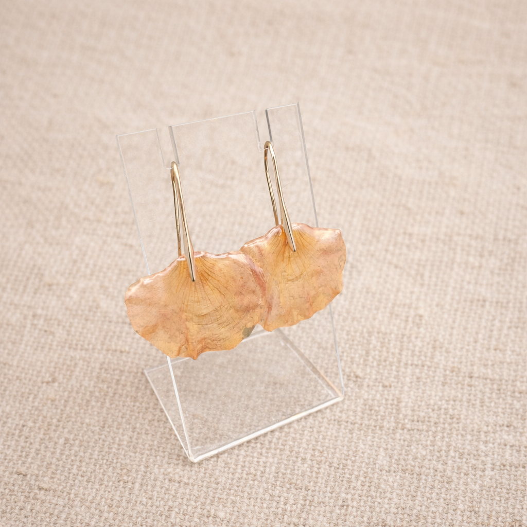 Flamboyanes - Aretes