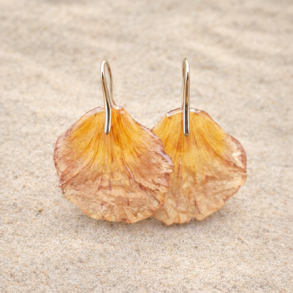 Flamboyanes - Aretes