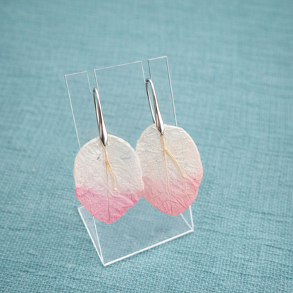 Trinitarias Bicolor - Aretes
